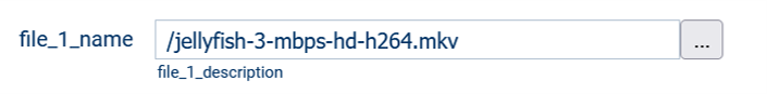 type_FILE